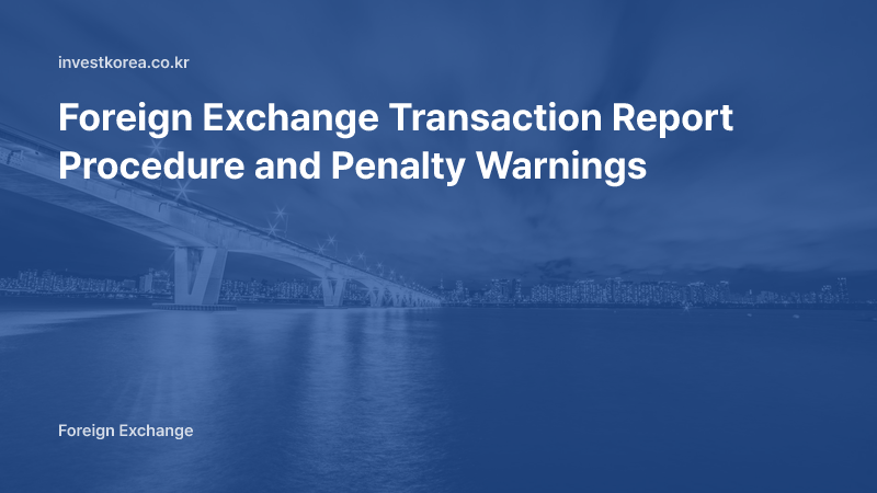 Foreign Exchange Transaction Report Procedure and Penalty Warnings