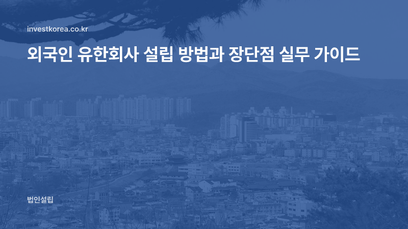 외국인 유한회사 설립 방법과 장단점 실무 가이드