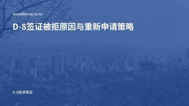 D-8签证被拒原因与重新申请策略 — 如何避免再次失败