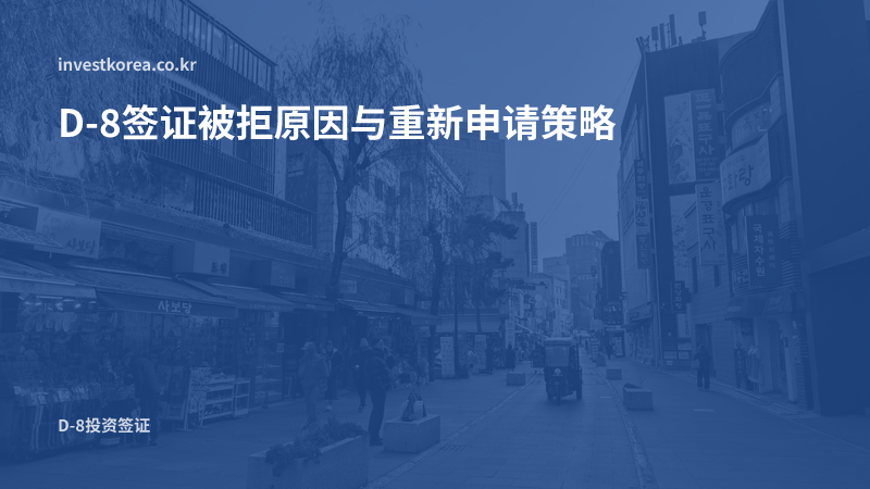 D-8签证被拒原因与重新申请策略