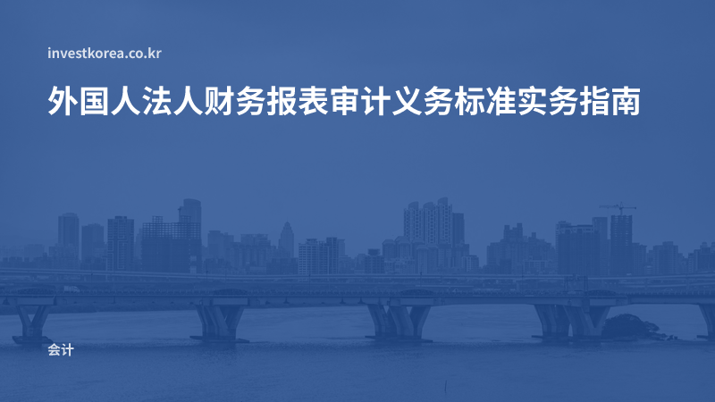 外国人法人财务报表审计义务标准实务指南