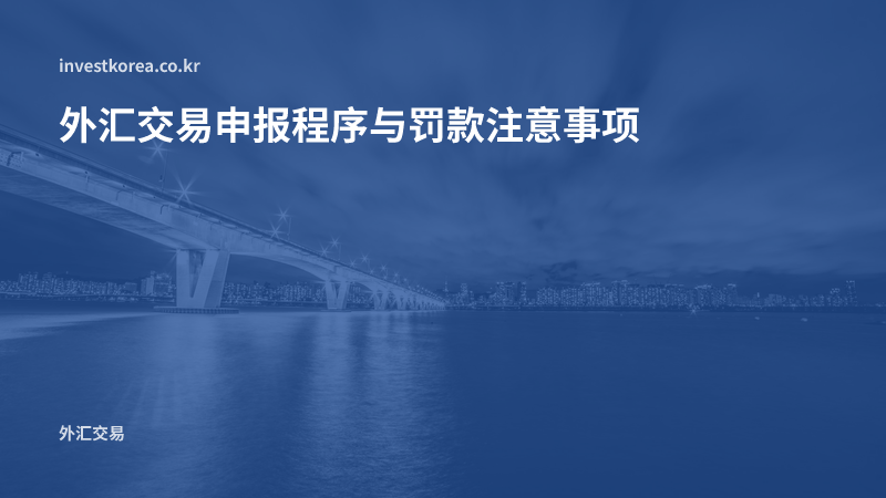 外汇交易申报程序与罚款注意事项
