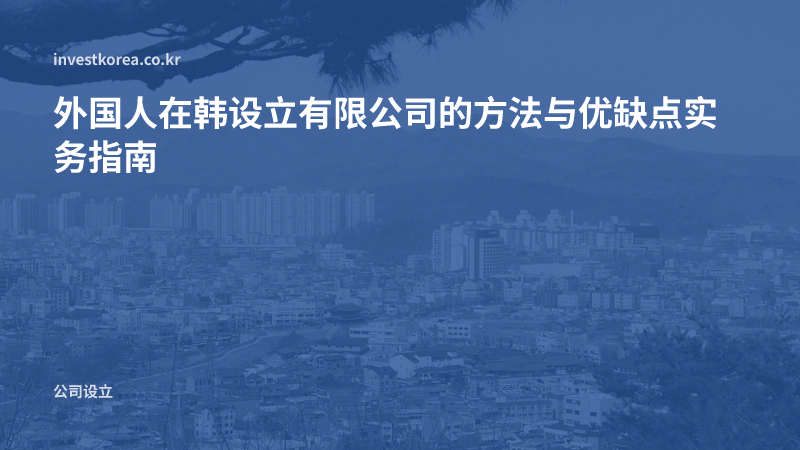外国人在韩设立有限公司的方法与优缺点实务指南